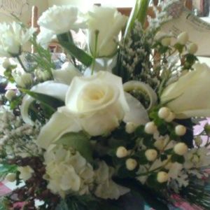 Meet your Posher, Evelyn