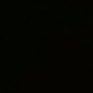 Meet your Posher, Ernestine