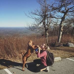 Meet your Posher, Reilly