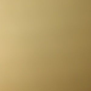 Meet your Posher, Nikkole