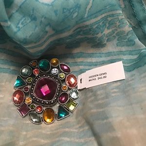 "Hidden Gems" pin/necklace slide