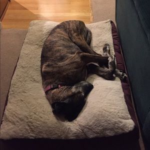 Meet your Posher, Becky