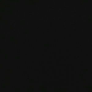 Meet your Posher, Rose