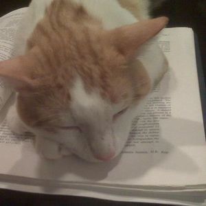 Meet your Posher, Barbara