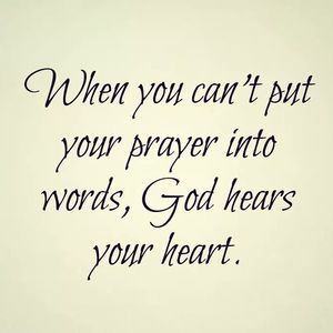 Meet your Posher, Nehal