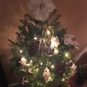 Meet your Posher, Genesis