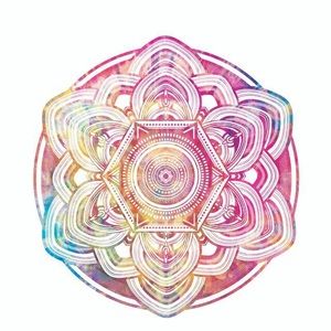 Meet your Posher, Avi