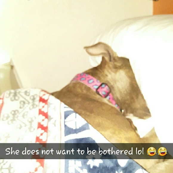 Meet your Posher, Stephanie