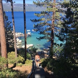 Meet your Posher, Molly