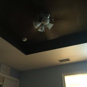 Meet your Posher, Frankie