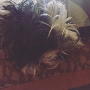 Meet your Posher, Renee