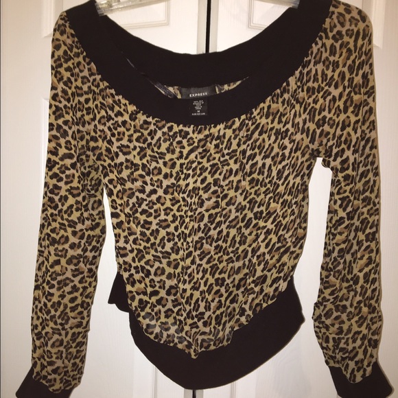 Super fun sheer animal print top