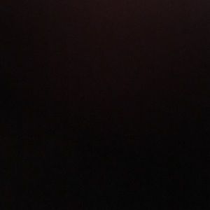 Meet your Posher, Ann