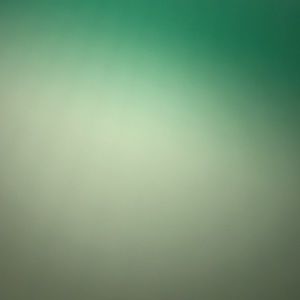 Meet your Posher, Billie