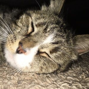 Meet your Posher, Hannah