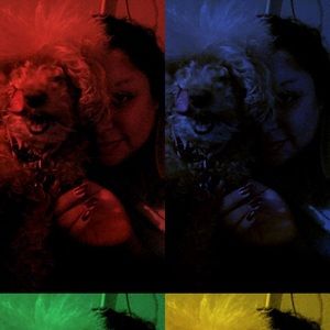 Meet your Posher, Veronica