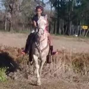 Meet your Posher, Micah