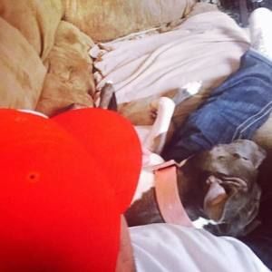 Meet your Posher, Ricky