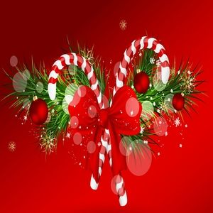 Meet your Posher, Lavaughn