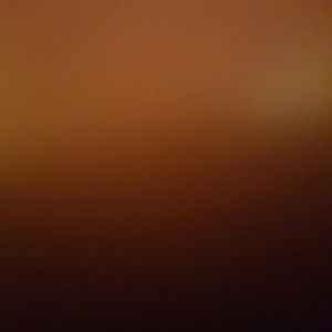 Meet your Posher, Trina