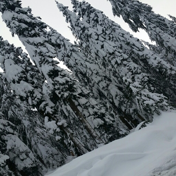 Meet your Posher, Kaylia