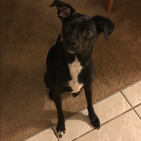 Meet your Posher, Brenda - Picture 2 of 8