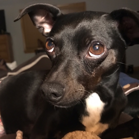 Meet your Posher, Brenda - Picture 3 of 8