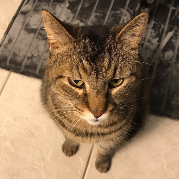 Meet your Posher, Brenda - Picture 4 of 8