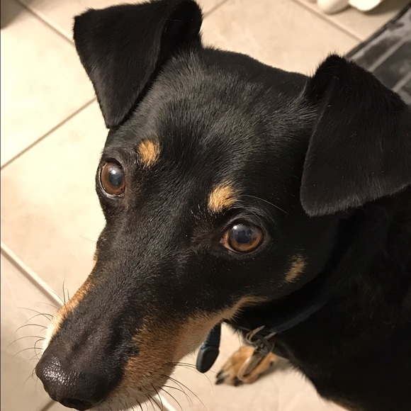 Meet your Posher, Brenda - Picture 7 of 8