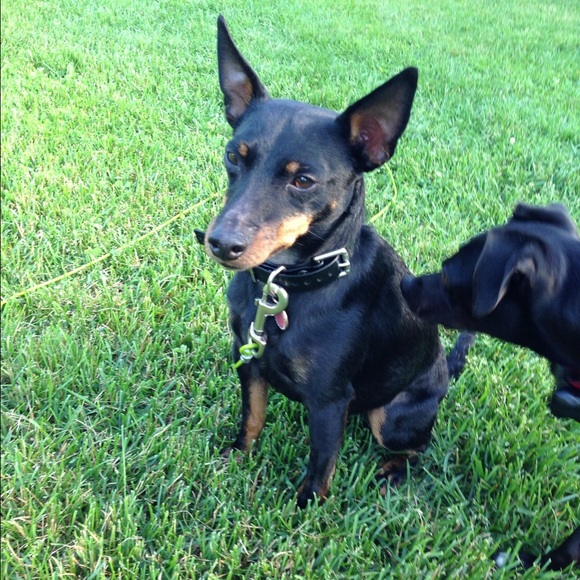 Meet your Posher, Brenda - Picture 8 of 8