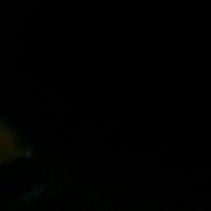 Meet your Posher, Madie