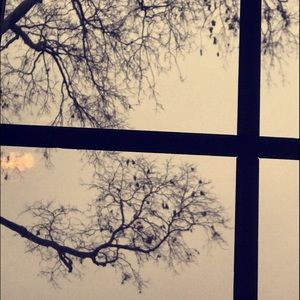 Meet your Posher, Bridget