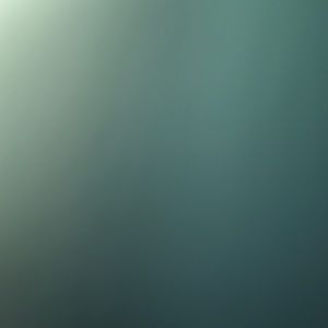 Meet your Posher, Shatoya