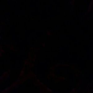 Meet your Posher, Darius