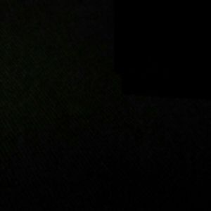 Meet your Posher, Sadie