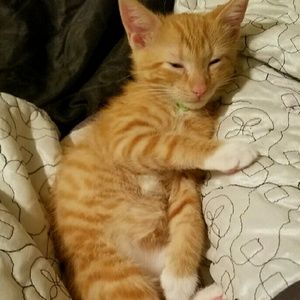 Meet your Posher, Bernice