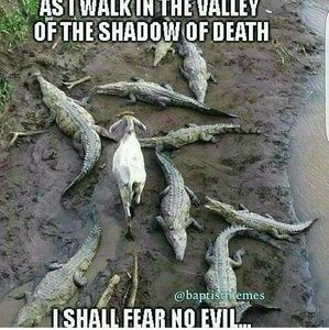 Meet your Posher, Levontay