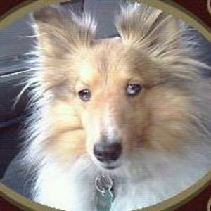 Meet your Posher, Debbra