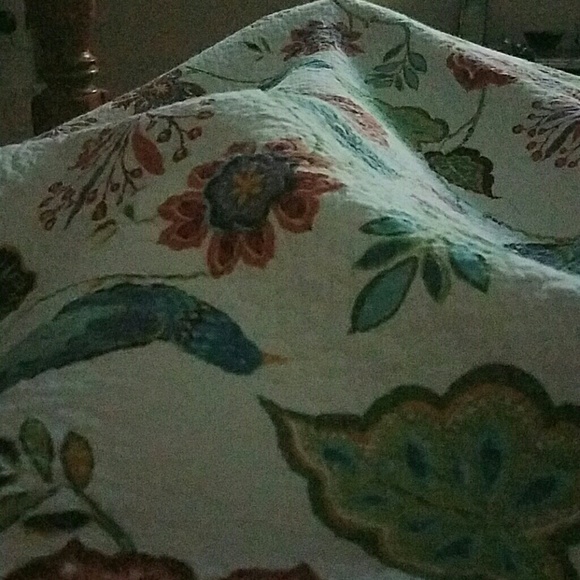 Meet your Posher, Joyce - Picture 1 of 1