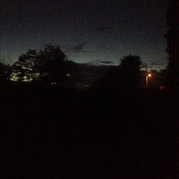 Meet your Posher, Robin - Picture 1 of 1