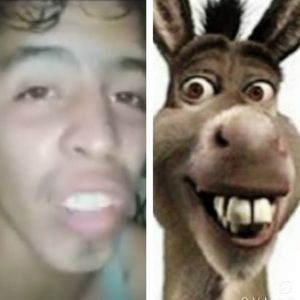 Meet your Posher, Baraka