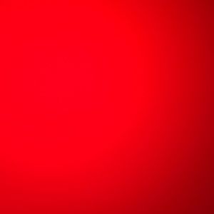 Meet your Posher, Bryant