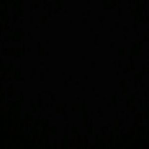 Meet your Posher, Beyonc?