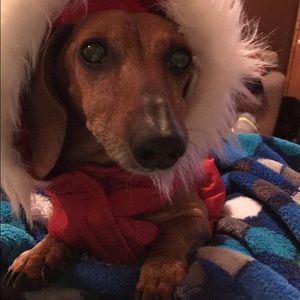 Meet your Posher, Melanie