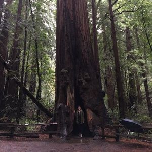 Meet your Posher, Courtney