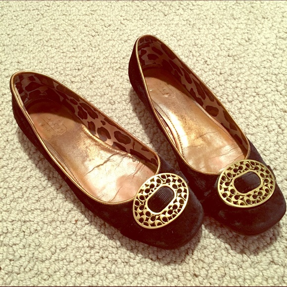 Coach velvet flats