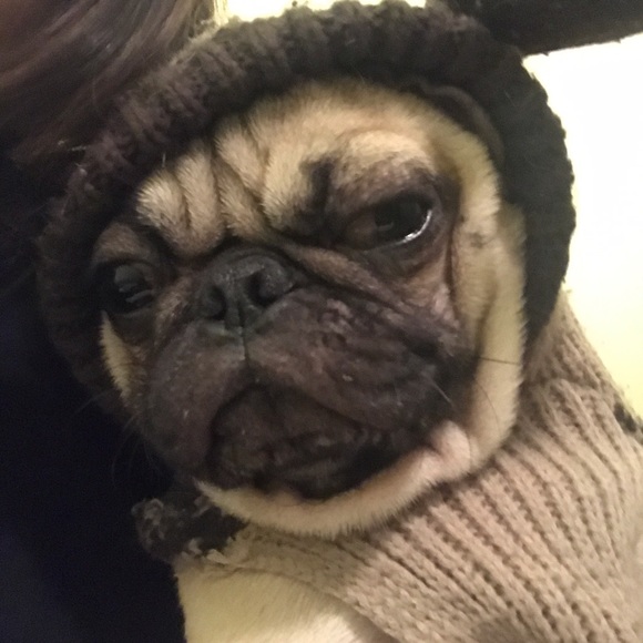 Meet your Posher, Lissette