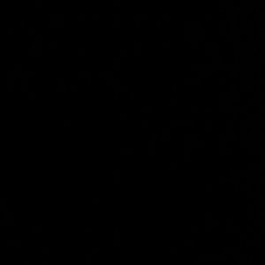 Meet your Posher, Mason