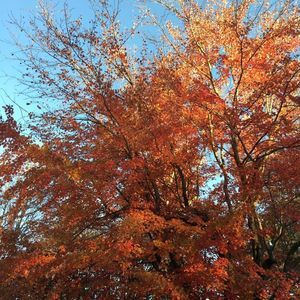 Meet your Posher, Kylie