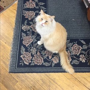 Meet your Posher, Sara